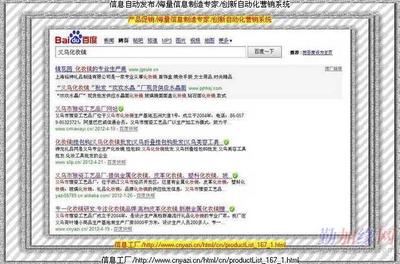 信息代发与信息系统运行维护服务的重要性及挑战